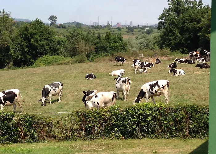 Tatil Evi Casa Marcela